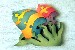 h_holzpuzzle_762_korallenfische_e-large.jpg