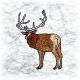 S-WL0115-0210_Elk_He.jpg s-wl0115-0210_elk_he_thb.jpg